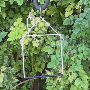 Video: a hummingbird perched on the white Craft Series house swing among green leaves