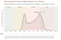 Line chart of Ruby-throated Hummingbird reports in Rhode Island by week, statewide, 2016–2025. Reports begin the last week of April, rise to a spring high near 20% in mid-May, dip to about 9% in June while females nest, then climb to the year's peak of 21% in late August before falling through September. Almost none remain after early October. hummingbird timing chart
