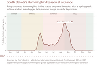 South Dakota hummingbird timing chart