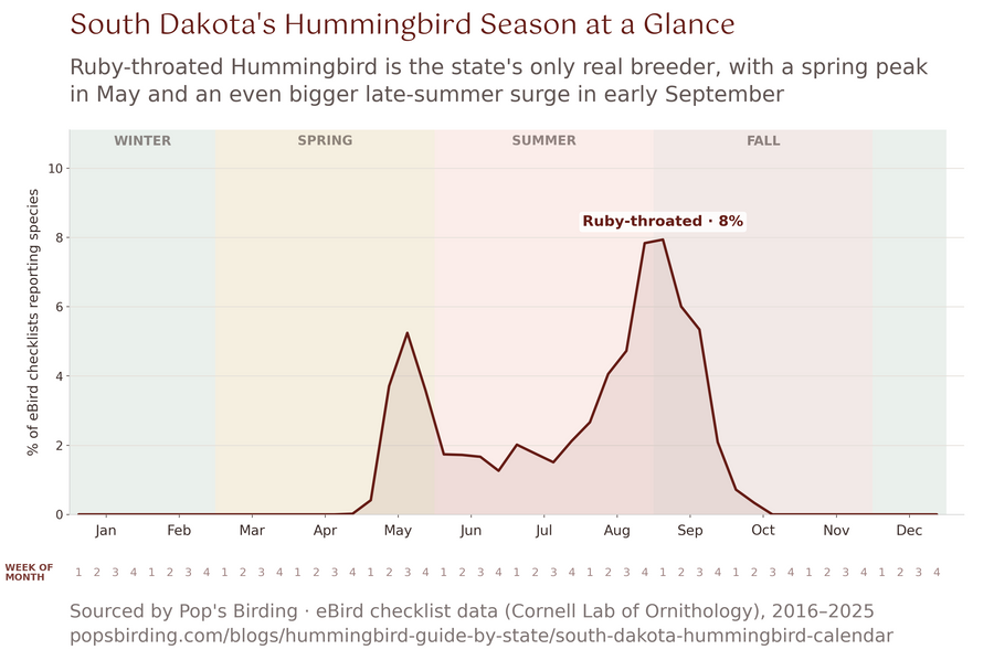 South Dakota hummingbird timing chart
