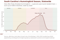 Chart showing Ruby-throated Hummingbird's season in South Carolina by week, statewide, 2016-2025. Unlike most states, it never drops to zero — a genuine year-round resident with a real, low winter presence, climbing through spring and peaking at 35% of checklists in the first week of September. hummingbird timing chart