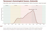 Tennessee hummingbird timing chart