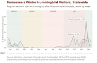 Tennessee hummingbird timing chart