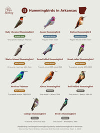 Species grid of the 11 hummingbirds documented in Arkansas — Ruby-throated (breeds here), Anna's and Rufous (migrant/winter), and eight rare visitors — each shown with a photo and status label, by Pop's Birding. hummingbird timing chart