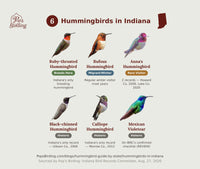 Indiana hummingbird timing chart