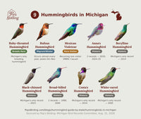 Michigan hummingbird timing chart