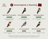 Grid of all 6 documented Wyoming hummingbird species, each labeled by breeding or historic status. hummingbird timing chart