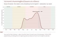 Line chart of Ruby-throated Hummingbird reports in Vermont by week, statewide, 2016–2025. Reports start the first week of May, hold near 17% through June, climb to a late-August peak of 30%, then drop fast through September to almost nothing by October. hummingbird timing chart