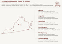 Map showing when hummingbirds arrive and leave in each Virginia region — Fairfax, Augusta, Albemarle, Northampton, Montgomery, and Virginia Beach. Ruby-throated Hummingbird is Virginia's only genuine migratory breeder, so timing is driven by the same species everywhere; Northampton on the Eastern Shore is the one region that lingers into November while the rest of the state empties out by mid-to-late October. hummingbird timing chart