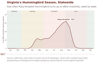 Chart showing Ruby-throated Hummingbird's season in Virginia by week, statewide, 2016-2025, peaking at 32% of checklists in early September hummingbird timing chart