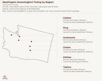 Washington hummingbird timing chart