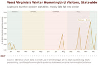 West Virginia hummingbird timing chart