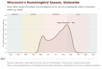 Wisconsin hummingbird timing chart