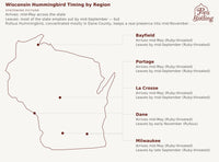 Wisconsin hummingbird timing-by-region map. Statewide: arrives mid-May; most of the state leaves by mid-September, but Rufous Hummingbird keeps a presence in Dane County into early November. By region — Bayfield: mid-May to mid-September. Portage: mid-May to mid-September. La Crosse: mid-May to mid-September. Dane: mid-May to early November (Rufous). Milwaukee: mid-May to late September. hummingbird timing chart