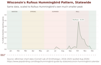 Wisconsin hummingbird timing chart