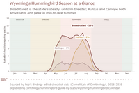 Wyoming hummingbird timing chart