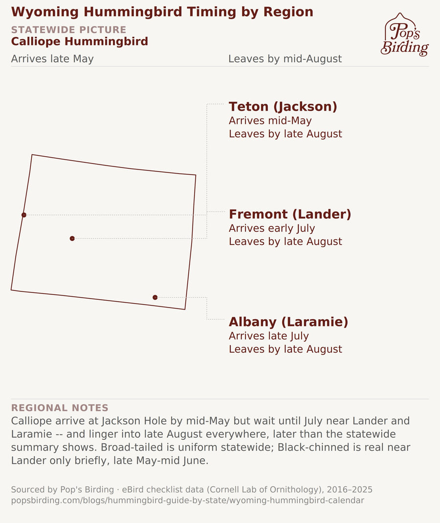 Wyoming hummingbird timing chart
