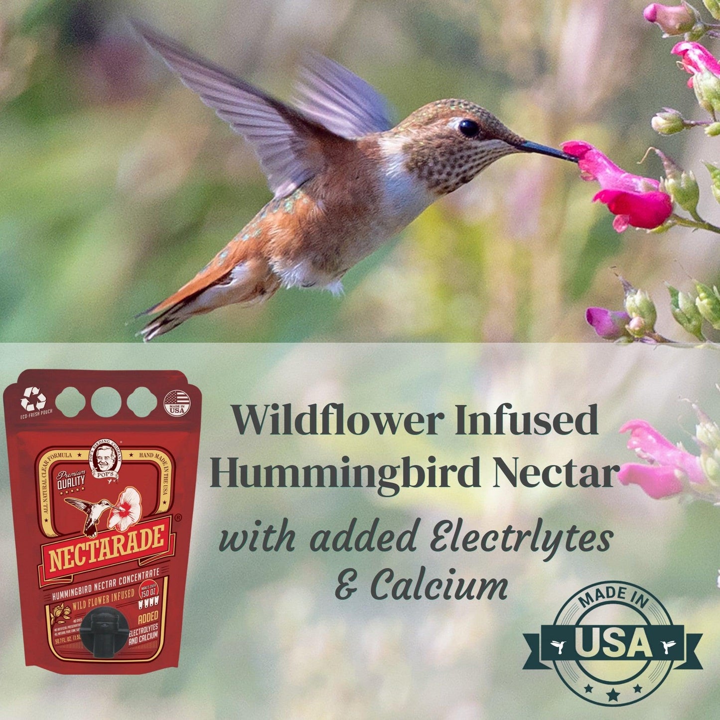 Nectarade® Hummingbird Nectar, Concentrate 50.7oz (Sold by Case)